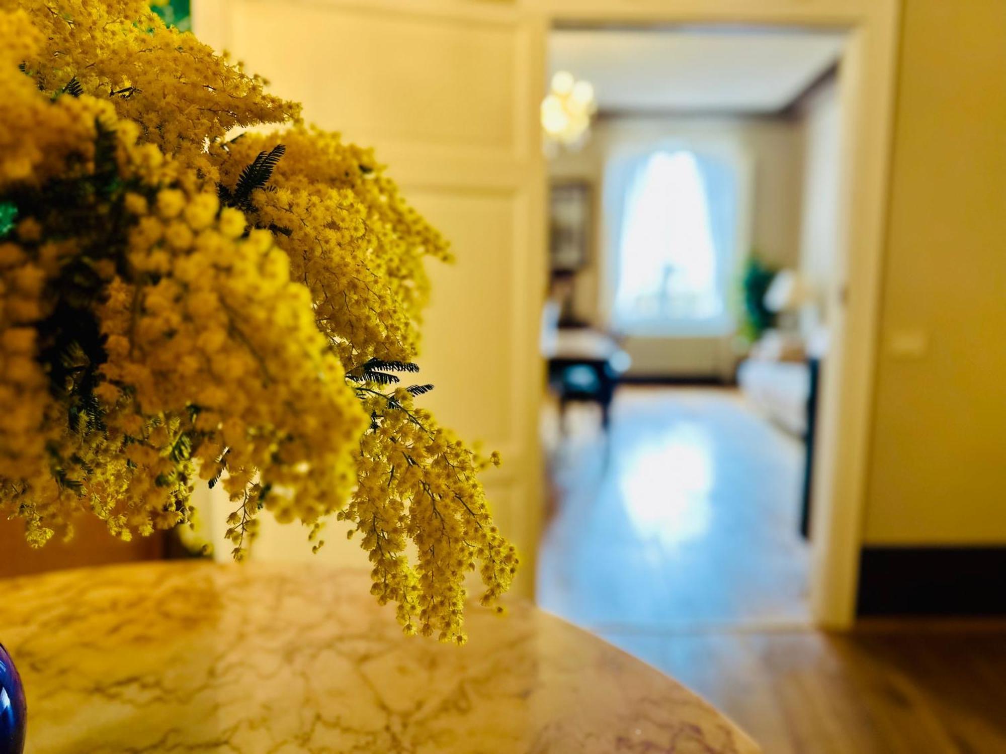 Domus An- Two Bedrooms Apartment -Antique And Historical Home Siena Esterno foto